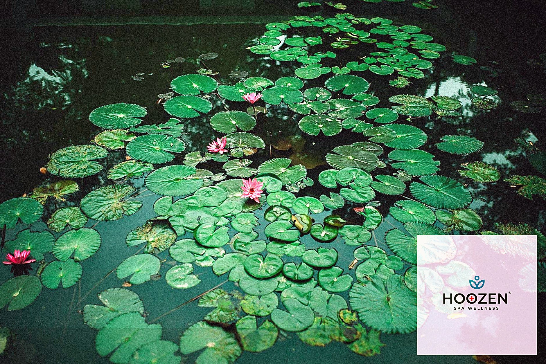 Kişiye Özel Masaj Terapileri