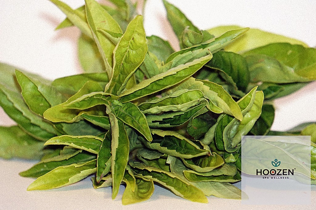 Termal Havuz ve Jakuzi Keyfi