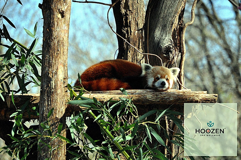 Hoozen Spa Wellness, Mersin'in Turistik ve İş Olanaklarıyla Nasıl Entegre Bir Deneyim Sunuyor?